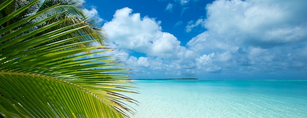 Tropischer Strand auf den Malediven mit wenigen Palmen und blauer Lagune