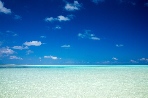 Tropischer Strand auf den Malediven mit wenigen Palmen und blauer Lagune