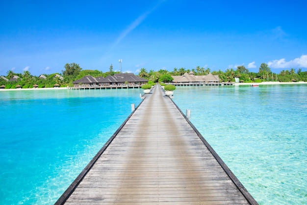 Tropischer Strand auf den Malediven mit wenigen Palmen und blauer LagunexAxA