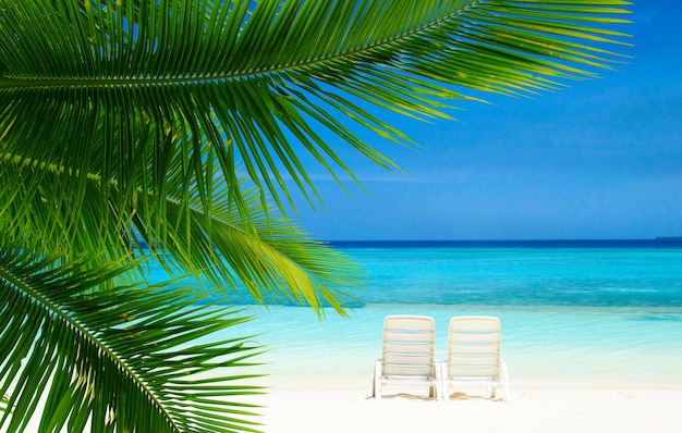 Tropischer Strand auf den Malediven mit wenigen Palmen und blauer LagunexAxA