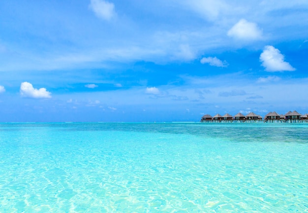 Tropischer Strand auf den Malediven mit wenigen Palmen und blauer LagunexAxA