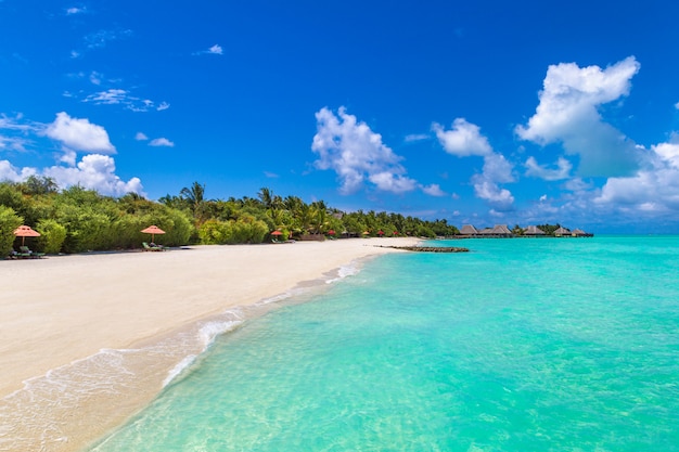 Tropischer strand auf den malediven