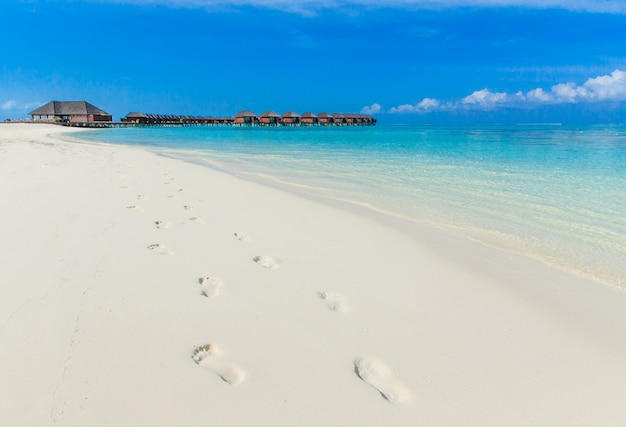 Tropischer Strand auf den Malediven