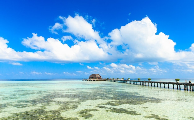 Tropischer Strand auf den Malediven