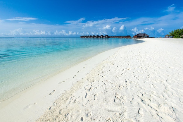 Tropischer Strand auf den Malediven