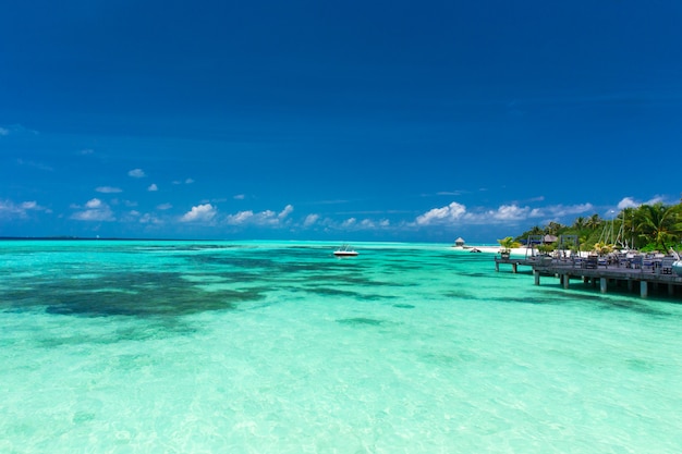 Tropischer Strand auf den Malediven