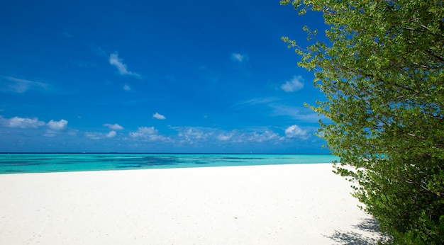 Tropischer Strand auf den Malediven