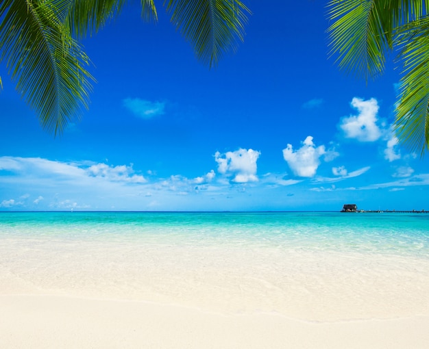 Tropischer Strand auf den Malediven