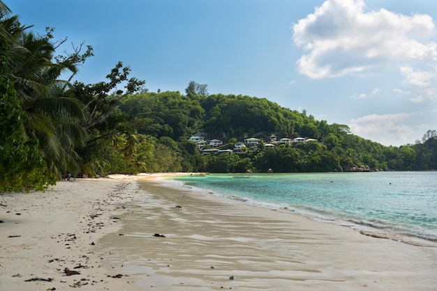 Tropischer Strand auf der Insel Mahe auf den Seychellen