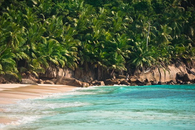 Tropischer Strand auf der Insel Mahe auf den Seychellen