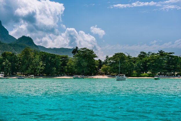 Tropischer Strand auf der Insel Mahe, Seychellen