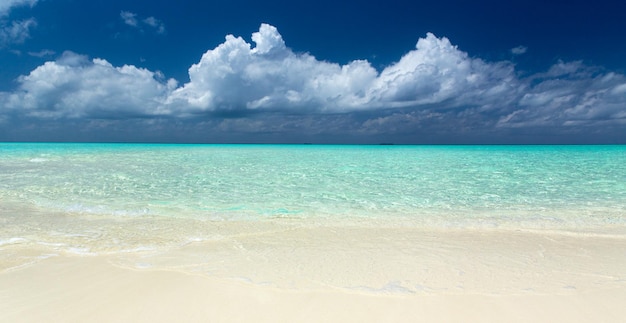 Tropischer Strand in Malediven mit wenigen Palmen und blauer Lagune