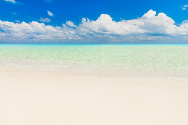 Tropischer Strand in Malediven mit wenigen Palmen und blauer Lagune