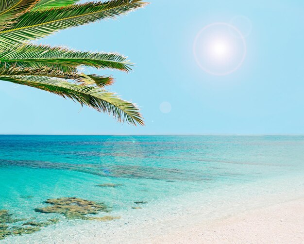 Tropischer Strand in Sardinien Italien