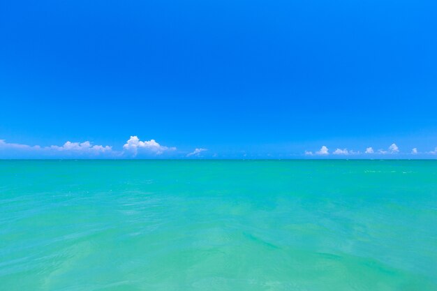 Tropischer Strand in Sri Lanka. Sommerferien- und Ferienkonzept für den Tourismus.