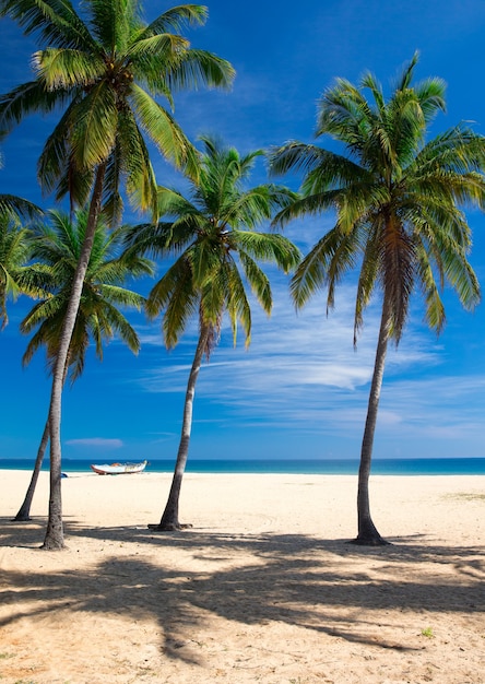 Tropischer Strand in Sri Lanka. Sommerferien- und Ferienkonzept für den Tourismus.