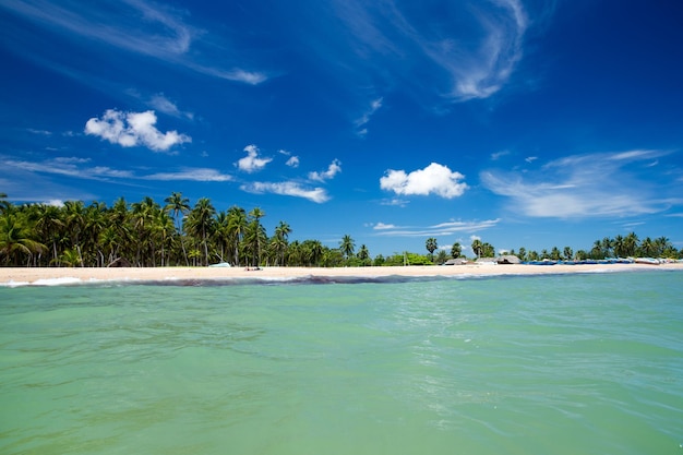 Tropischer Strand in Sri Lanka Sommerferien und Urlaubskonzept für den Tourismus