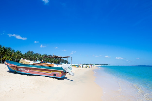 Tropischer Strand in Sri Lanka. Sommerferien und Urlaubskonzept für den Tourismus.