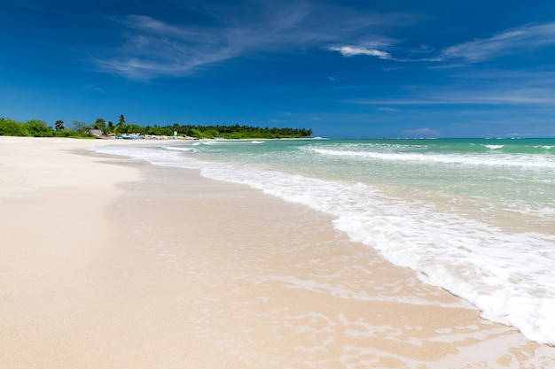 Tropischer Strand in Sri Lanka