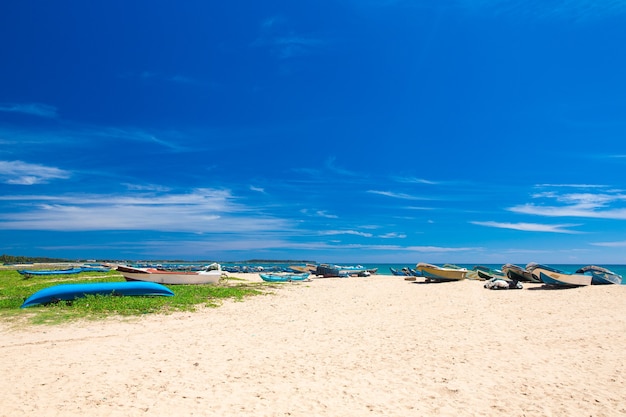 Tropischer Strand in Sri Lanka