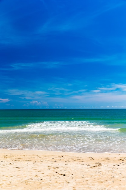 tropischer Strand in Sri Lanka