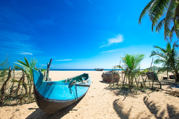 tropischer Strand in Sri Lanka