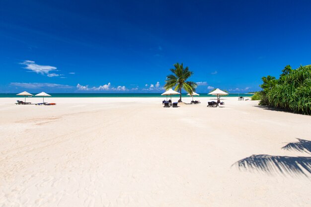 Tropischer Strand in Sri Lanka