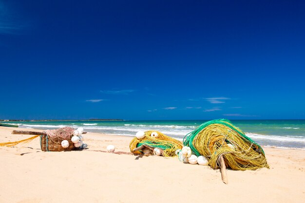 Tropischer Strand in Sri Lanka