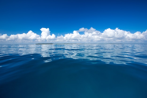 Tropischer Strand in Sri Lanka