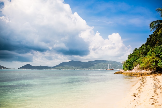 Tropischer Strand mit Palme und Segelschiff im Abstand