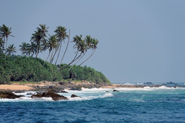 Tropischer Strand mit Palmen auf exotischer Insel