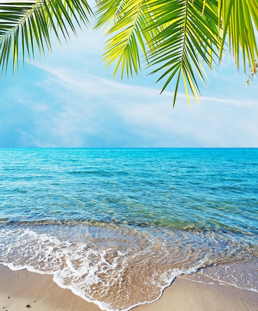 Tropischer Strand mit Palmen und Sand