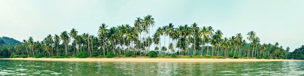 Tropischer Strand mit Sand- und Kokosnuss-Almas