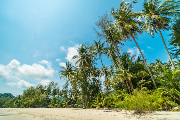 Tropischer Strand und Meer der schönen Natur mit KokosnussPalme auf Paradiesinsel