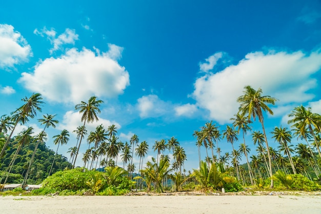 Tropischer Strand und Meer der schönen Natur mit KokosnussPalme auf Paradiesinsel