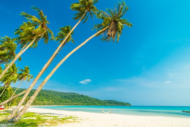 Tropischer Strand und Meer der schönen Natur mit KokosnussPalme auf Paradiesinsel