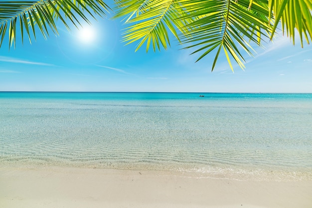 Tropischer Strand unter strahlender Sonne