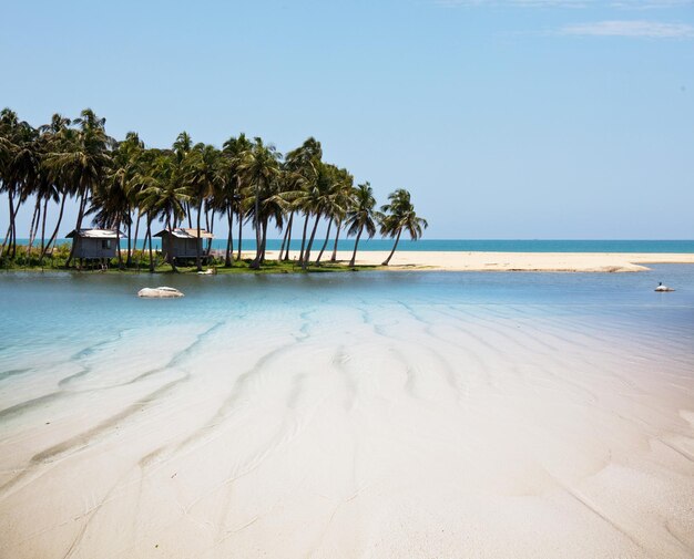 Tropischer Strand