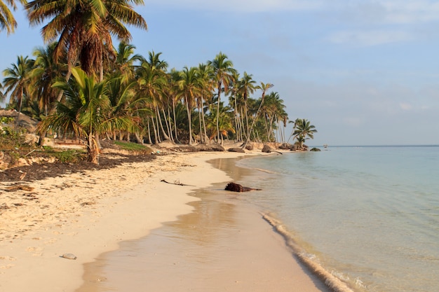 Tropischer Strand