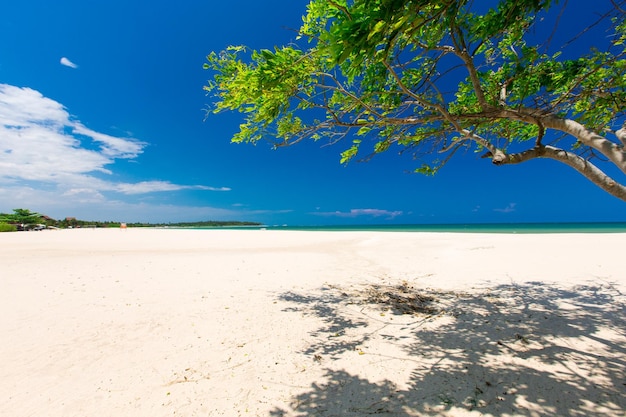 Tropischer Strand