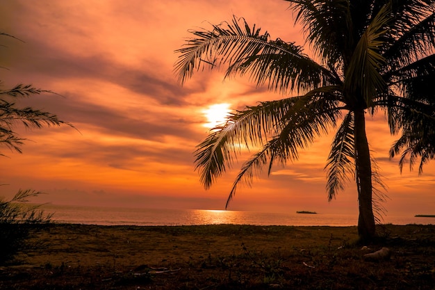 Tropischer Strandsonnenuntergang mit orangefarbenem Himmel