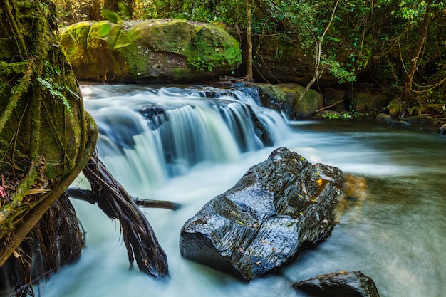 Tropischer Wasserfall