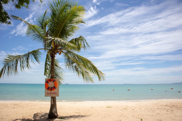 Tropisches Meer und Strand mit Rettungsring