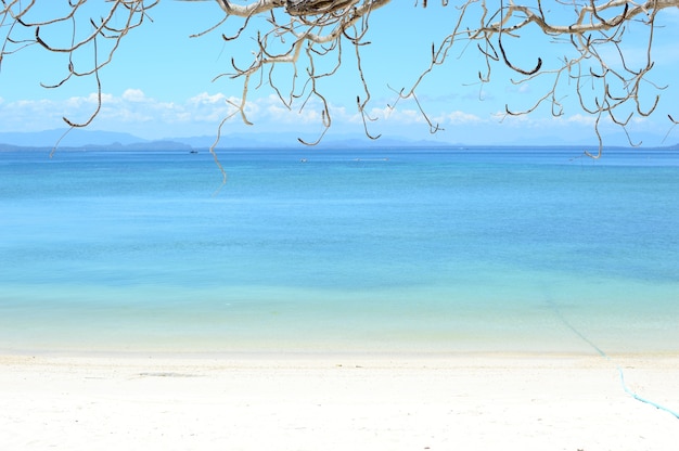 Tropisches Meer und Strand