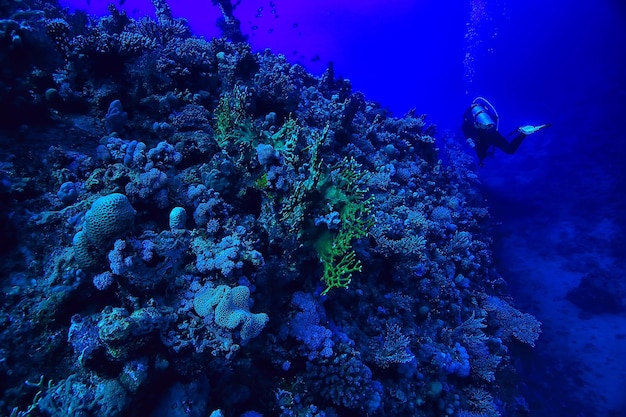 tropisches meer unterwasserhintergrund tauchen ozean