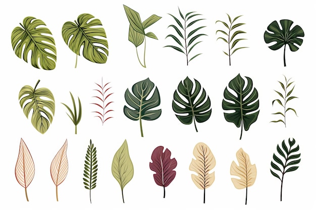 Tropisches Paradies Exquisite handgezeichnete Pflanzenteile, illustriert auf weißer Vektorkunst AR 32