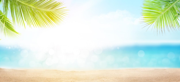 Tropisches Sommermeer mit Strandpalmen und blauem sonnigen Himmel