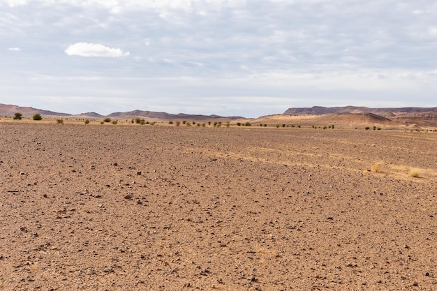 Trostlose Steinwüste in der Sahara