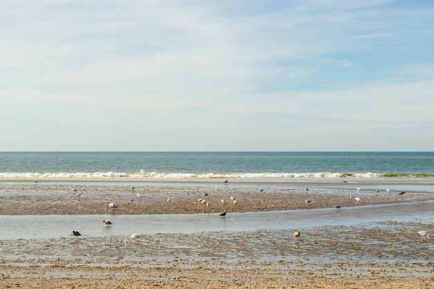 Trouville-sur-Mer