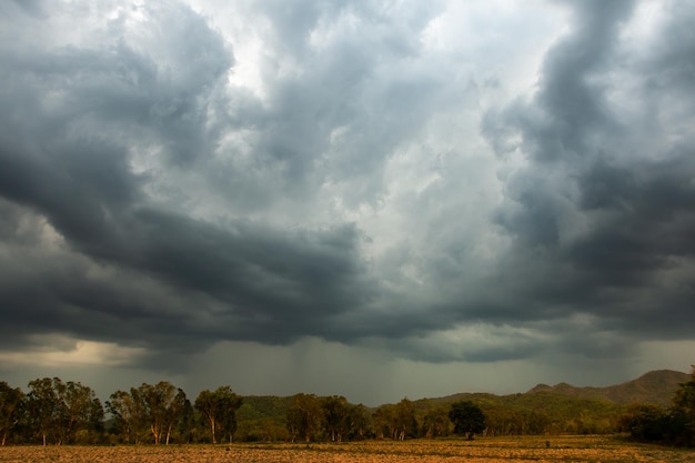 trovão tempestade céu Chuva nuvens